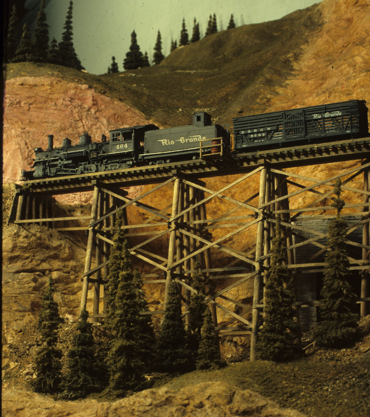Photograph of Contest Winner