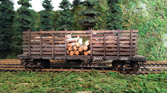 Photograph of Contest Winner