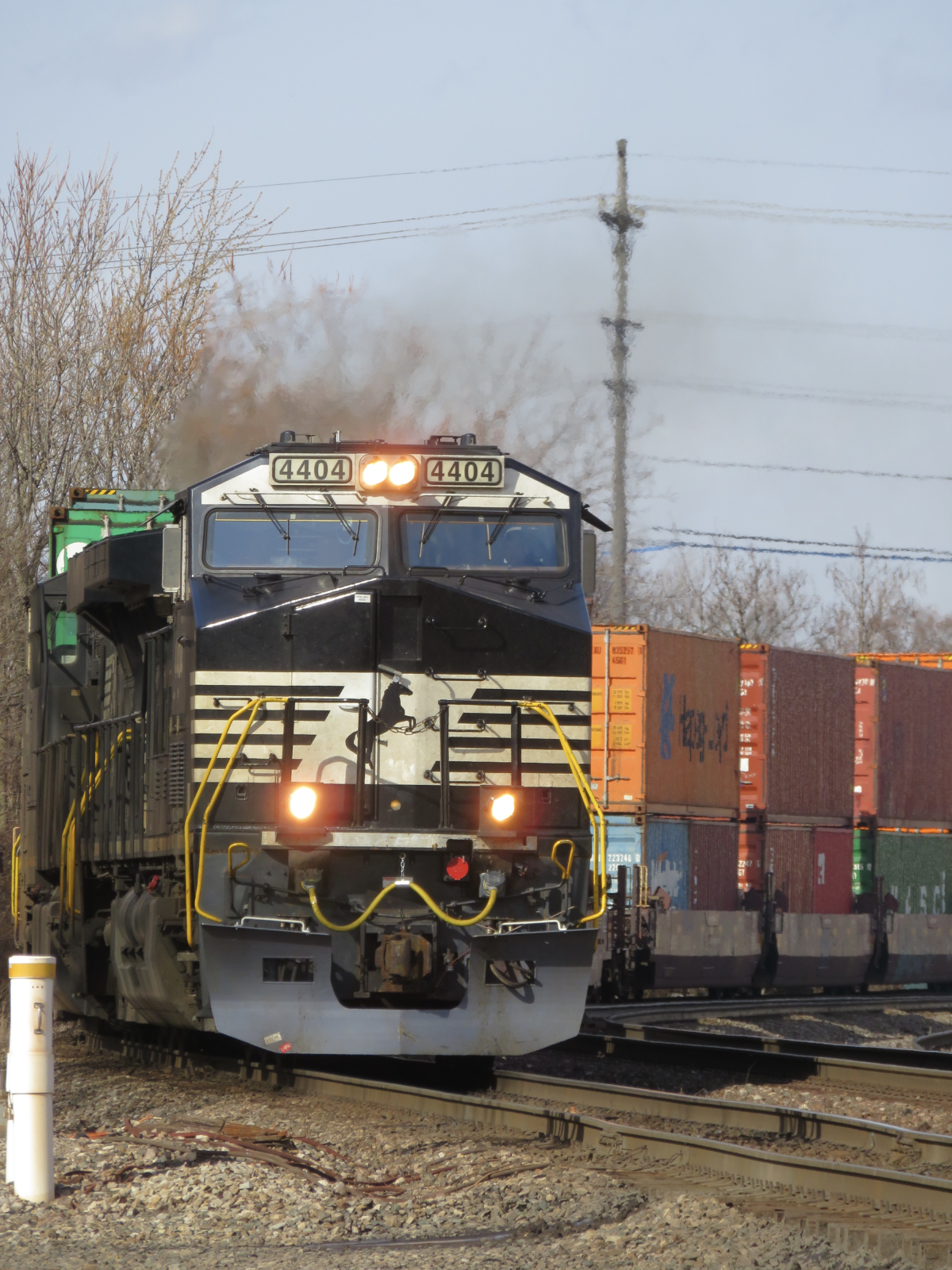 Photograph of Contest Winner