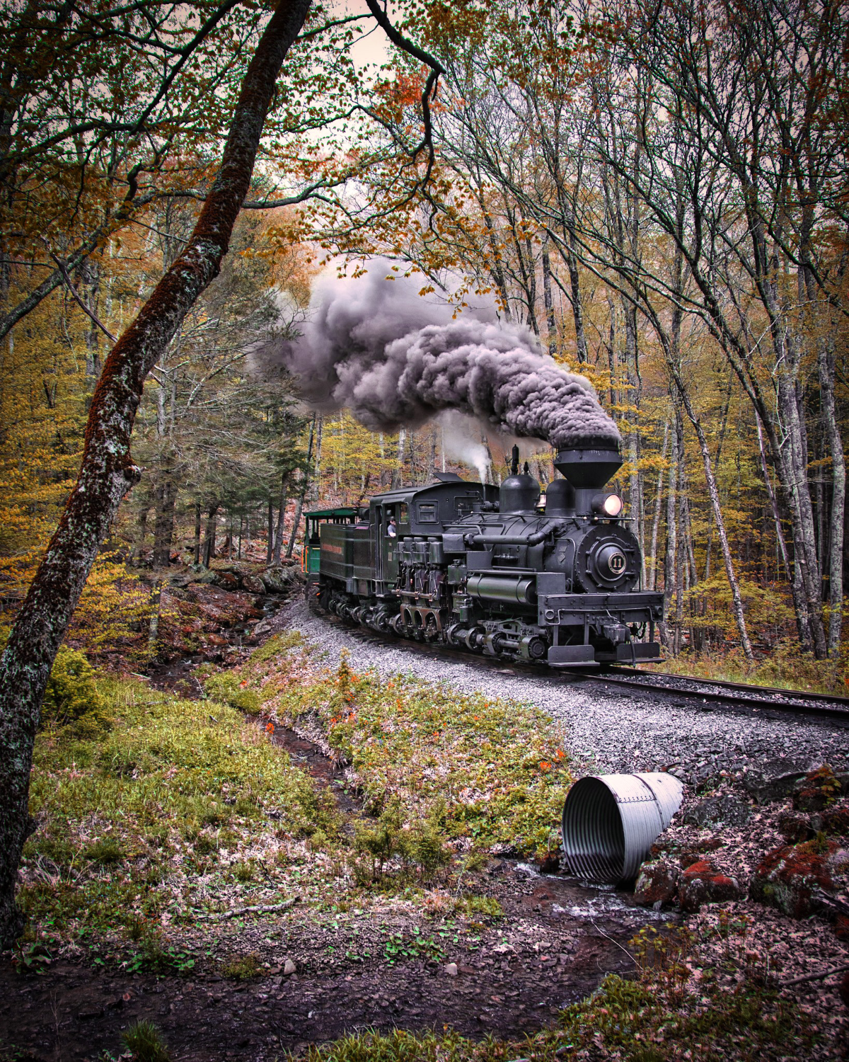 Photograph of Contest Winner