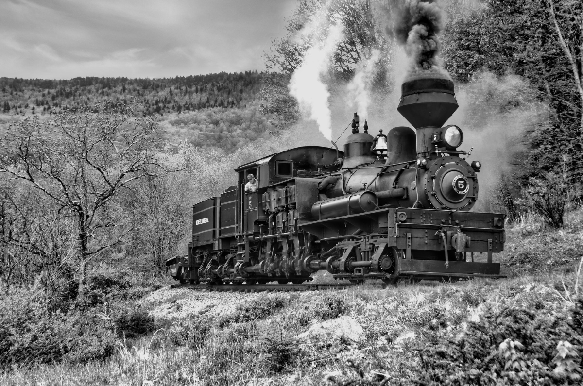 Photograph of Contest Winner